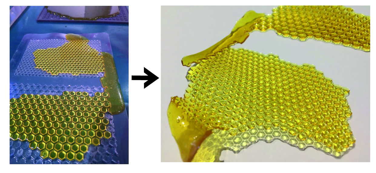 6. BioFabricating Materials Dominique VIAL
